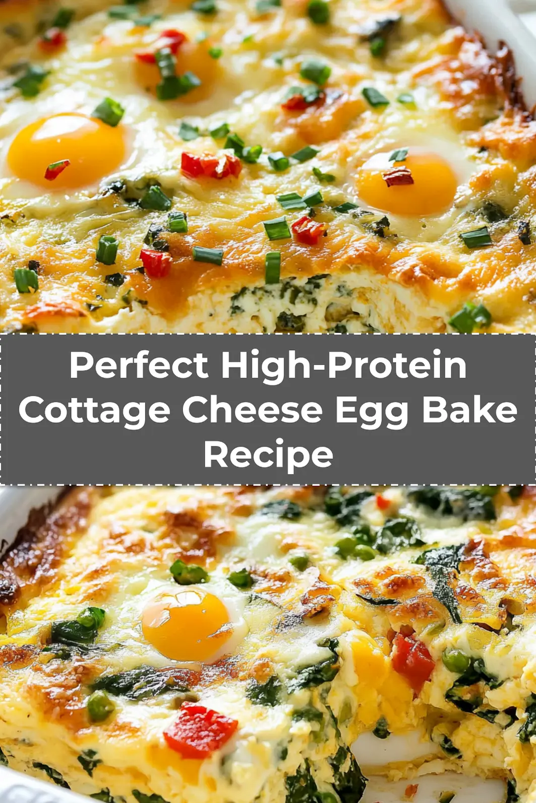 Freshly baked high protein cottage cheese egg bake, golden and sliced for serving