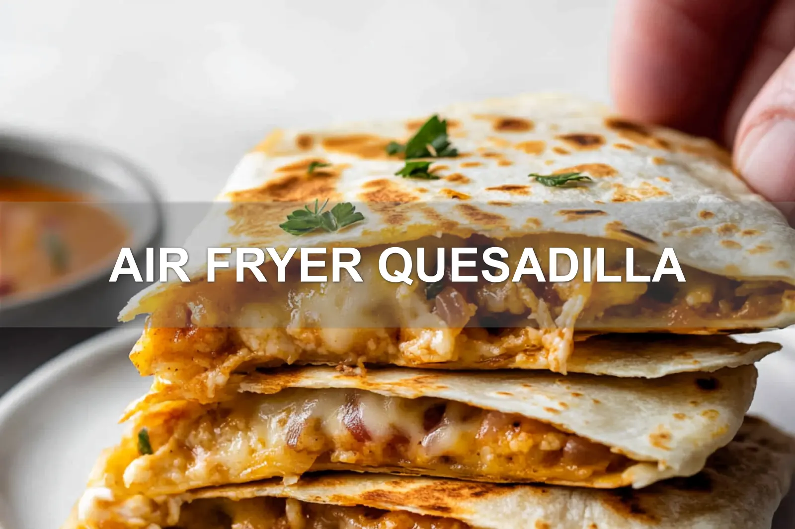 AIR FRYER QUESADILLA centered hero view, clean and uncluttered