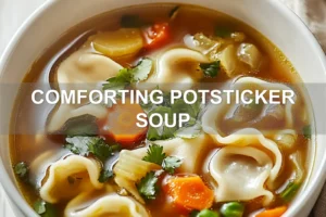 COMFORTING POTSTICKER SOUP centered hero view, clean and uncluttered
