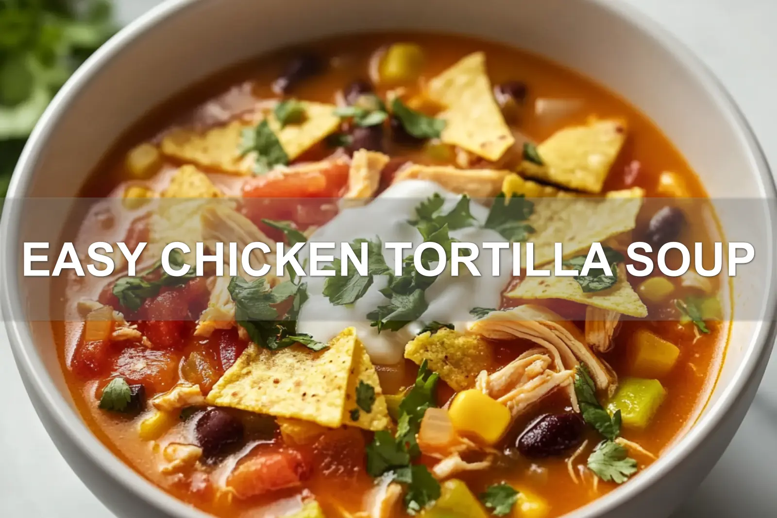 EASY CHICKEN TORTILLA SOUP centered hero view, clean and uncluttered