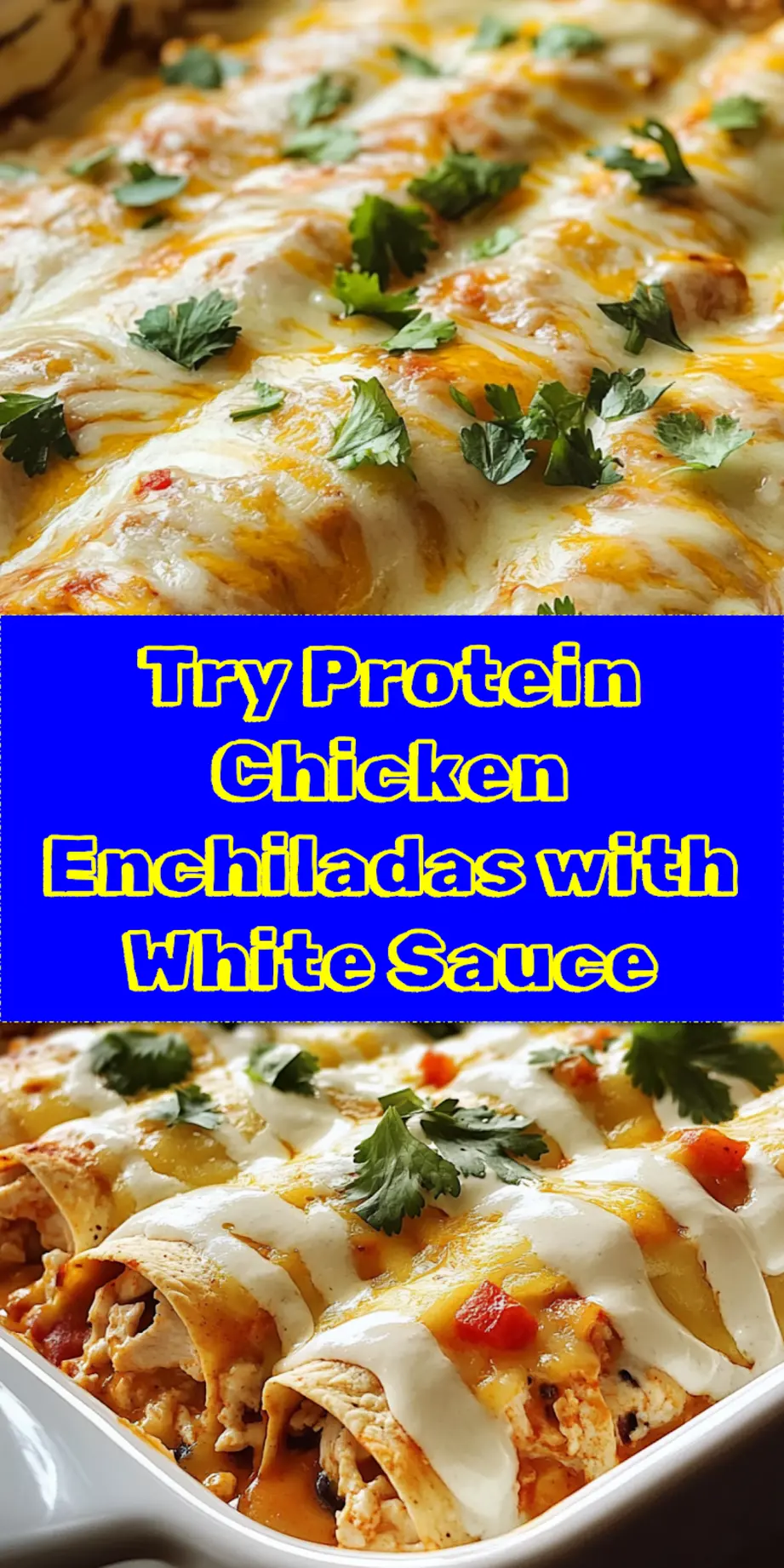 Overhead shot of Protein Chicken Enchiladas with Dreamy White Sauce in a baking dish, garnished with fresh cilantro, perfect for pinning.