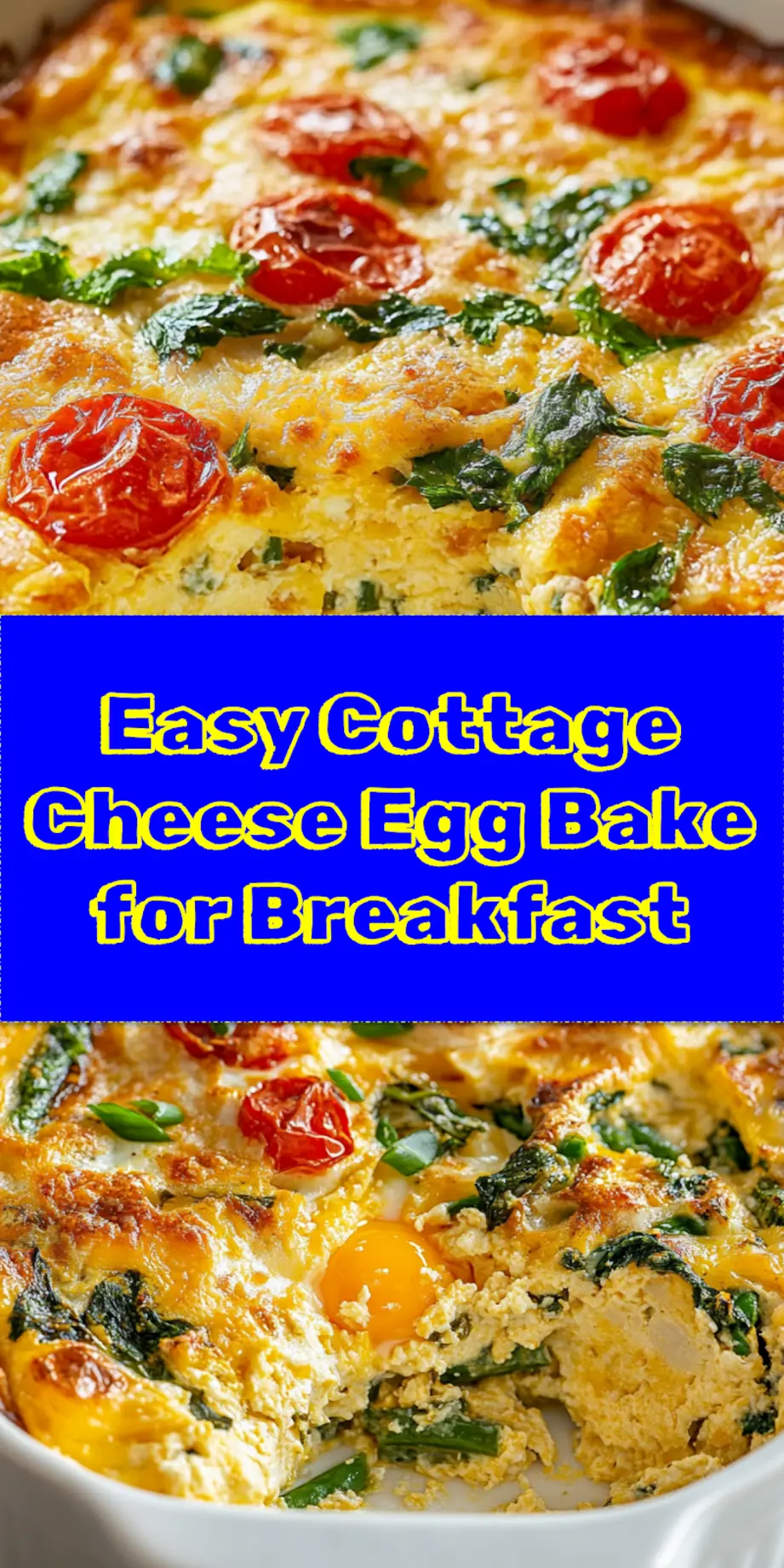 Protein packed cottage cheese egg bake fresh out of the oven in parchment-lined baking dish with golden crust