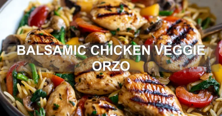 BALSAMIC CHICKEN VEGGIE ORZO centered hero view, clean and uncluttered