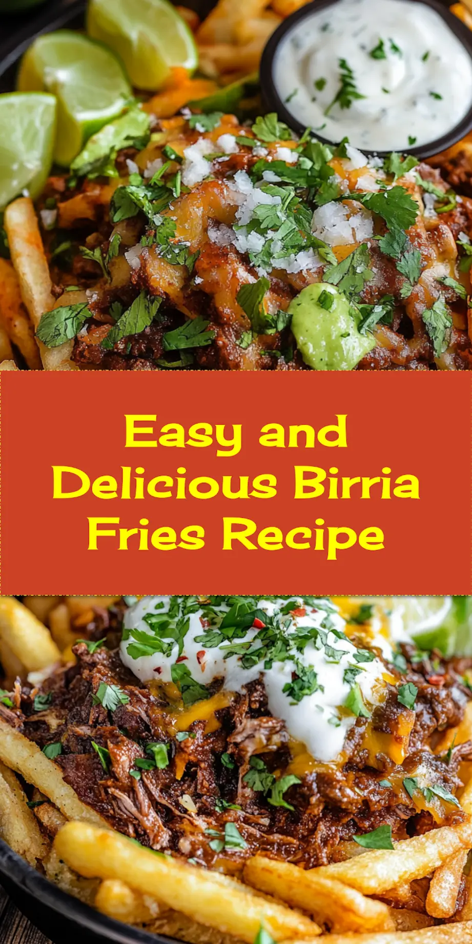 BIRRIA FRIES centered hero view, clean and uncluttered_pin