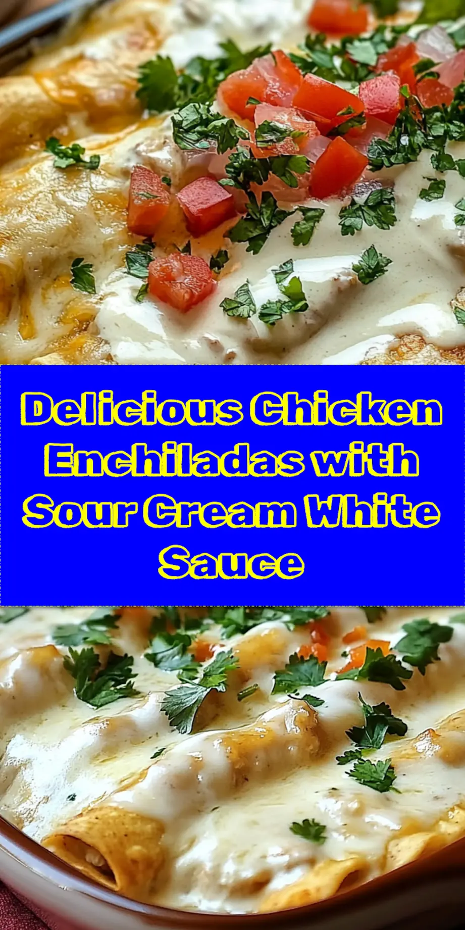 CHICKEN ENCHILADAS WITH SOUR CREAM WHITE SAUCE centered hero view, clean and uncluttered_pin