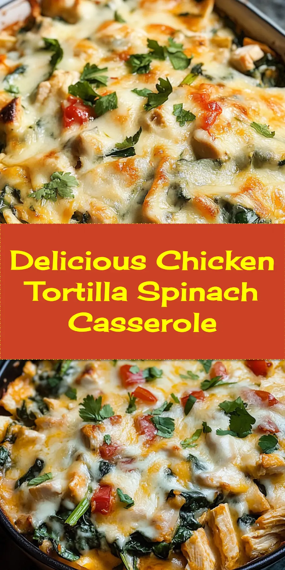 Comforting Chicken Tortilla Spinach Casserole 4 CHICKEN TORTILLA SPINACH CASSEROLE centered hero view, clean and uncluttered_pin