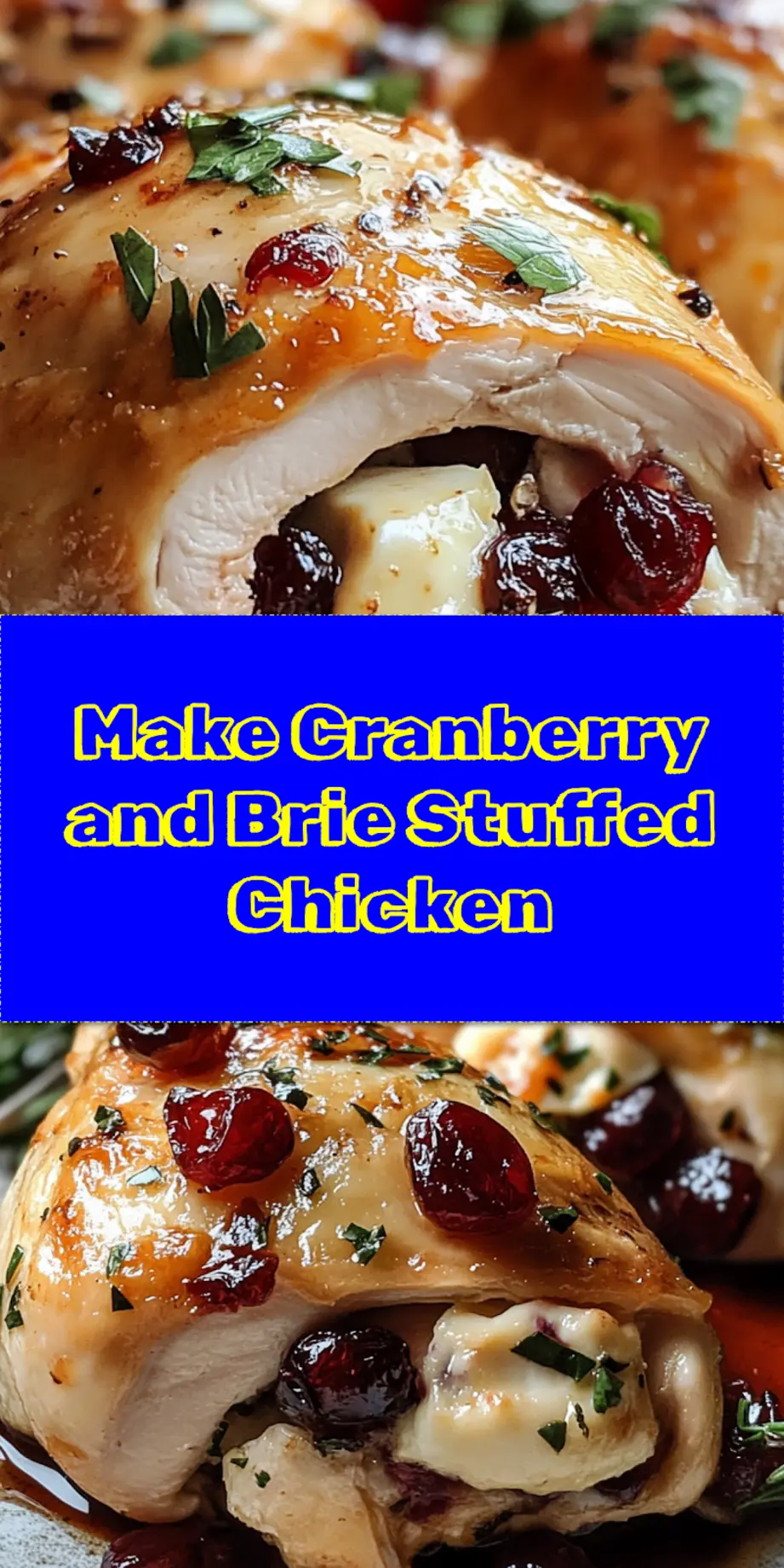 CRANBERRY AND BRIE STUFFED CHICKEN centered hero view, clean and uncluttered_pin