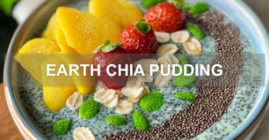 EARTH CHIA PUDDING centered hero view, clean and uncluttered