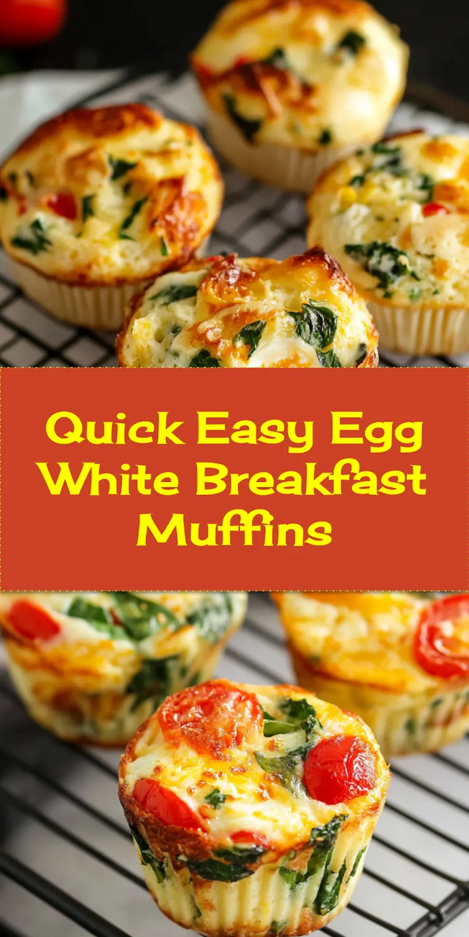 5 Ways Egg White Muffins Boost Your Morning 4 EGG WHITE MUFFINS centered hero view, clean and uncluttered_pin