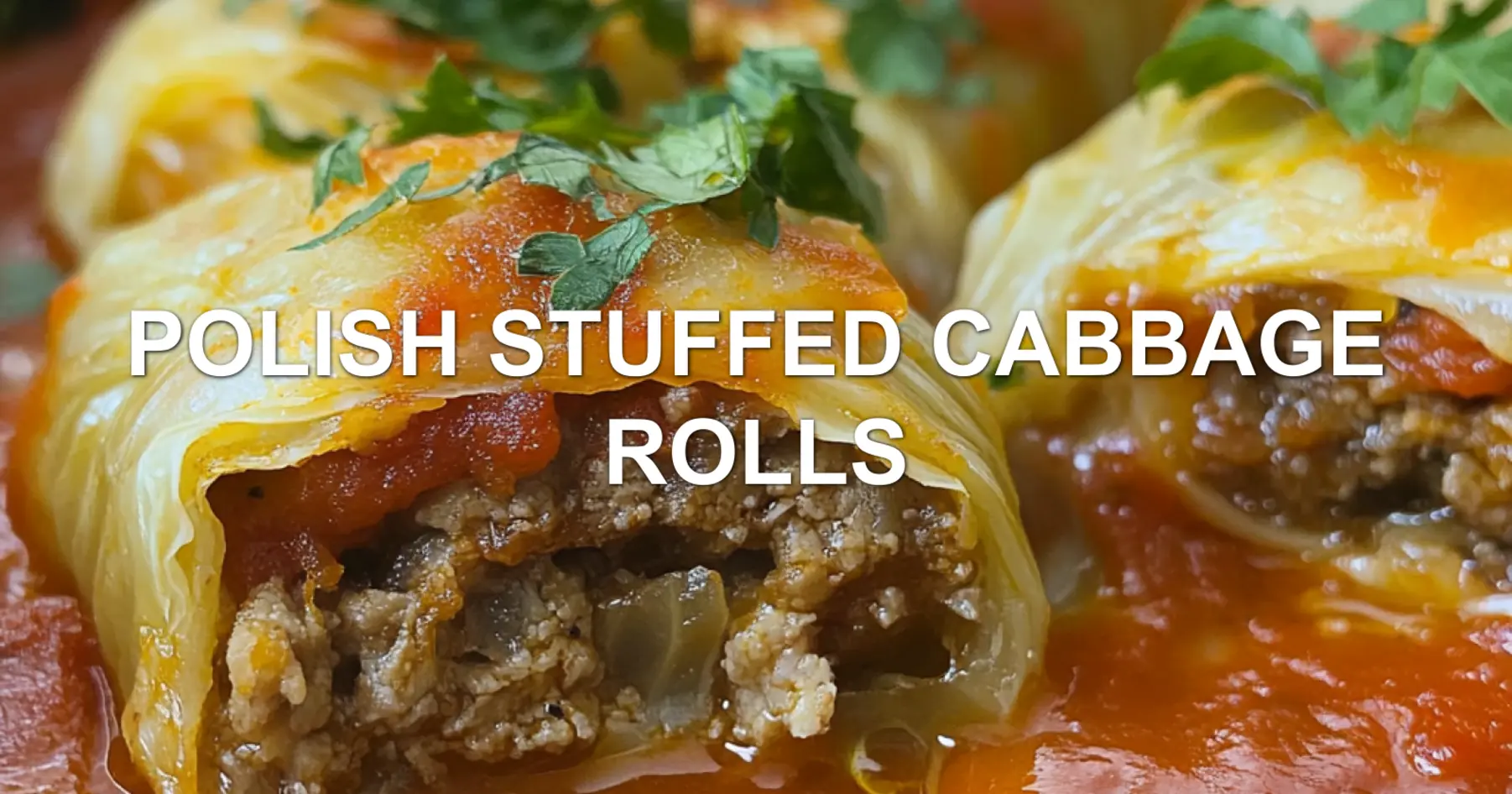 POLISH STUFFED CABBAGE ROLLS centered hero view, clean and uncluttered