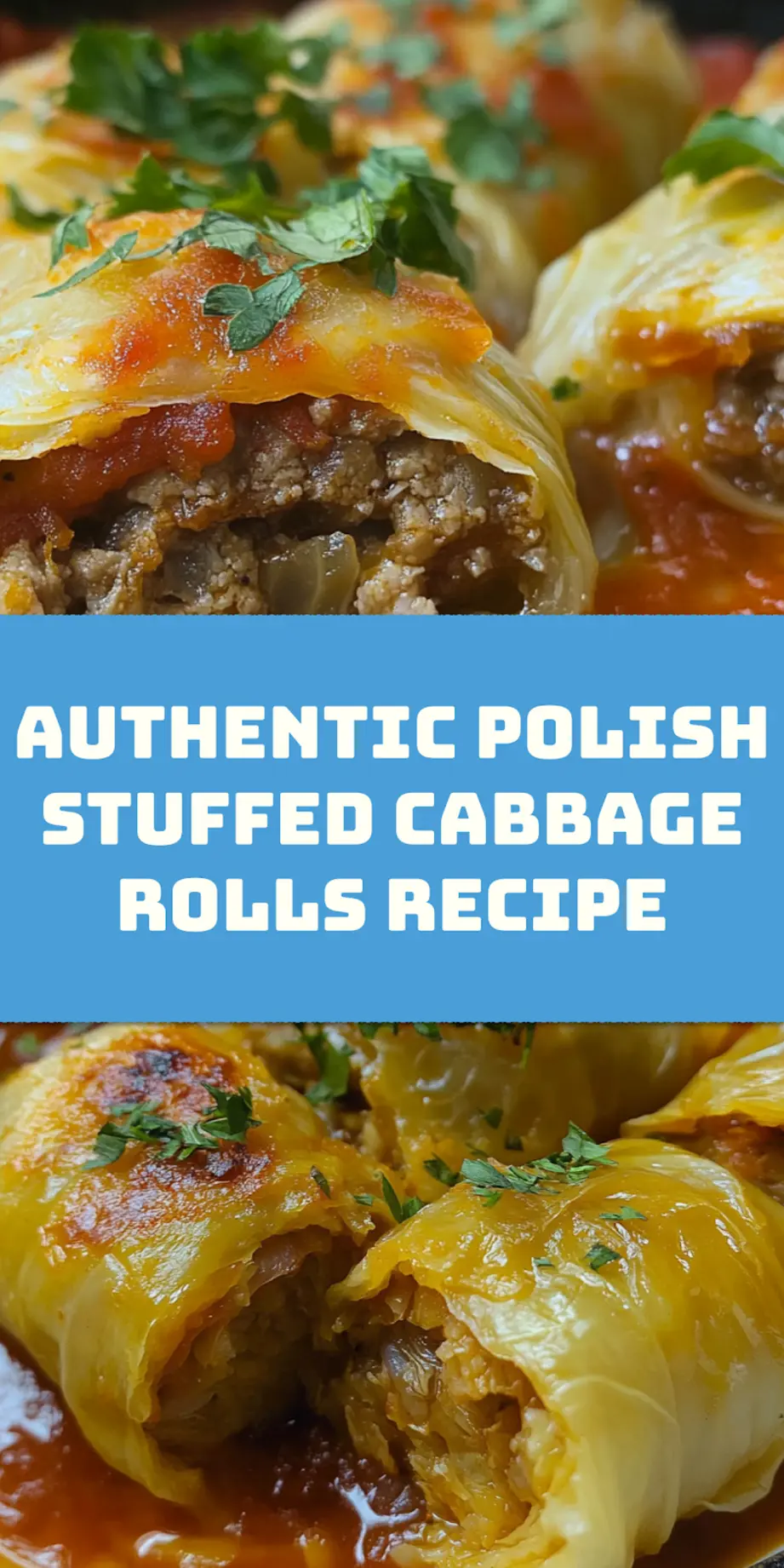 POLISH STUFFED CABBAGE ROLLS centered hero view, clean and uncluttered_pin