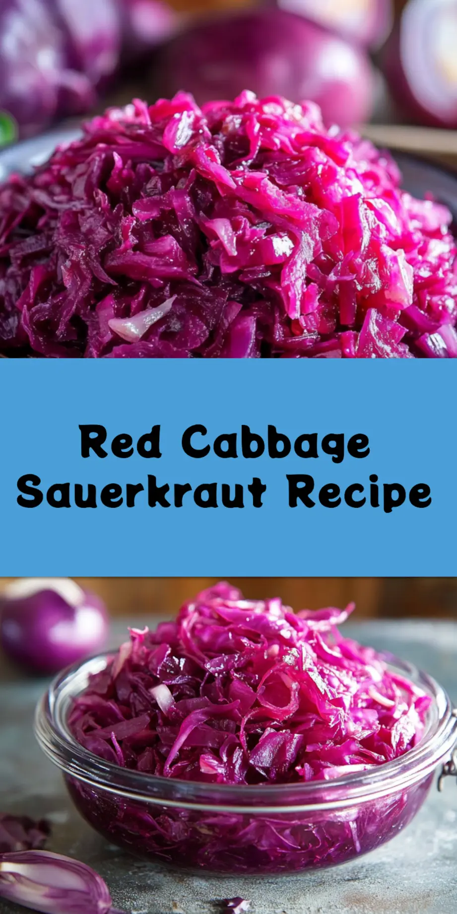RED CABBAGE SAUERKRAUT centered hero view, clean and uncluttered_pin