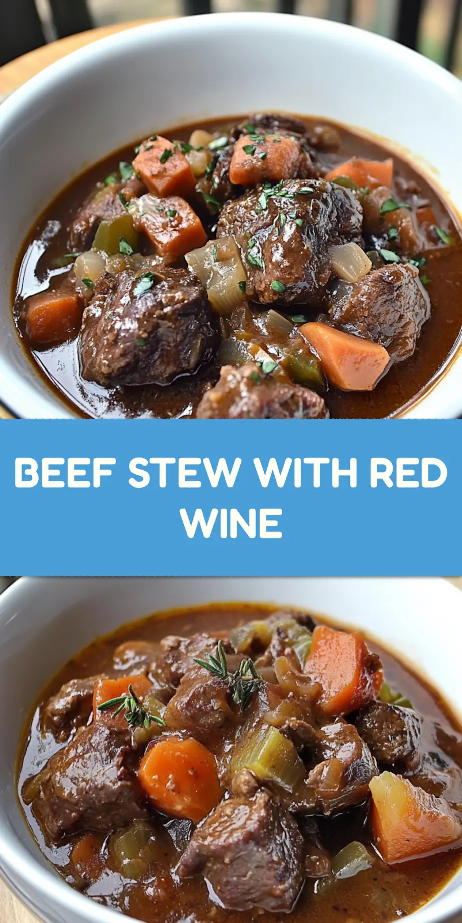 BEEF STEW WITH RED WINE centered hero view, clean and uncluttered
