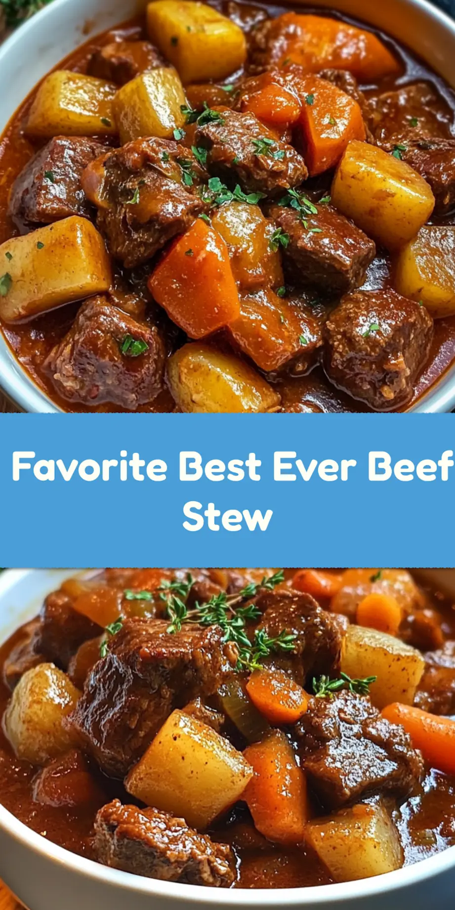 BEST EVER BEEF STEW centered hero view, clean and uncluttered_pin