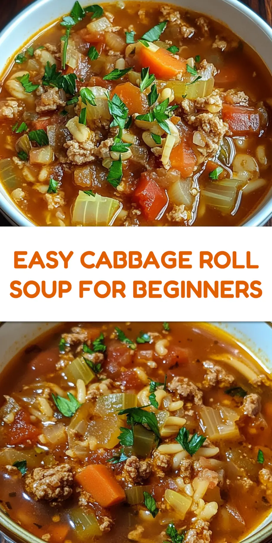 Cabbage Roll Soup centered hero view, clean and uncluttered