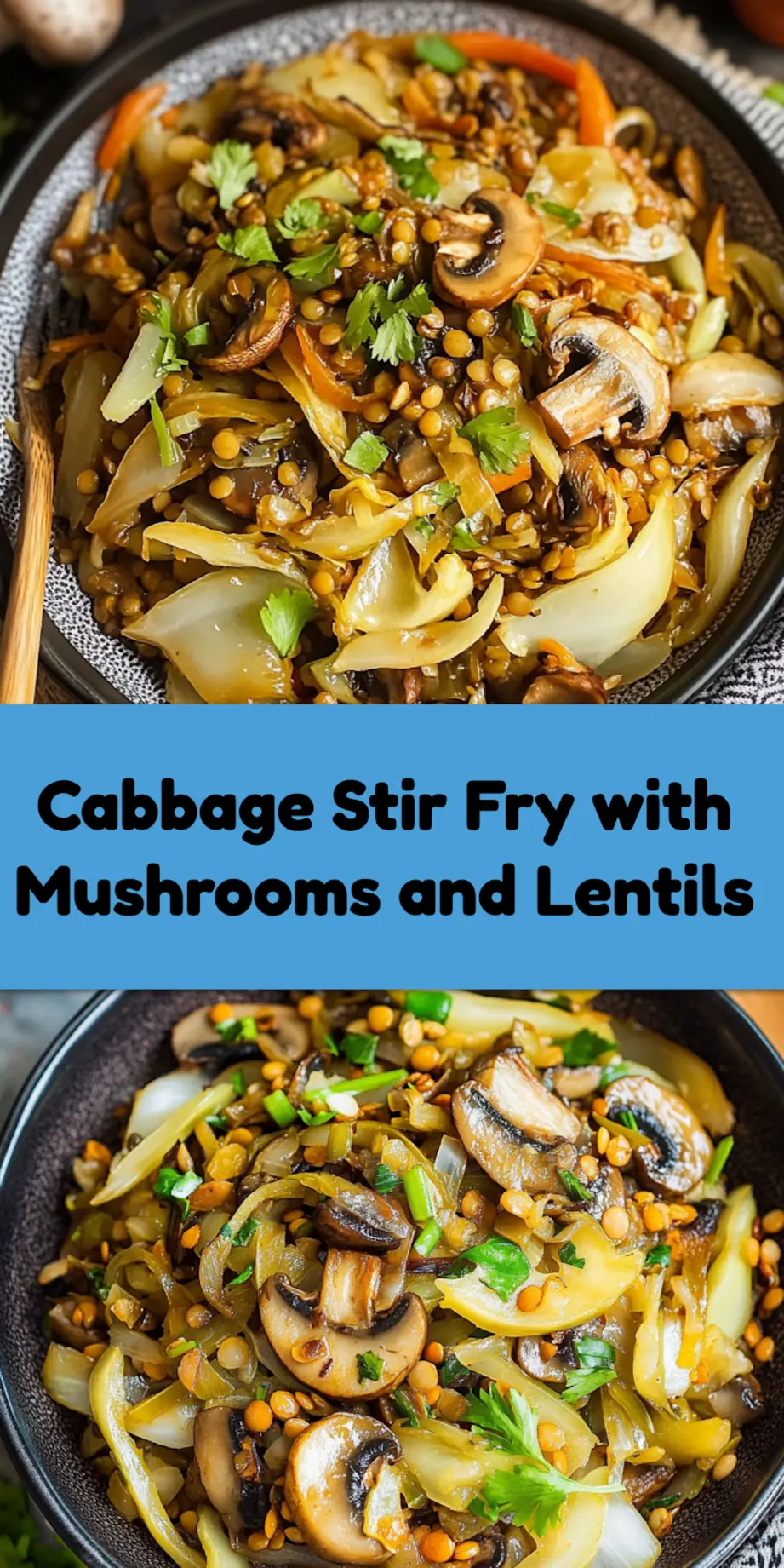 CABBAGE STIR FRY WITH MUSHROOMS AND LENTILS centered hero view, clean and uncluttered