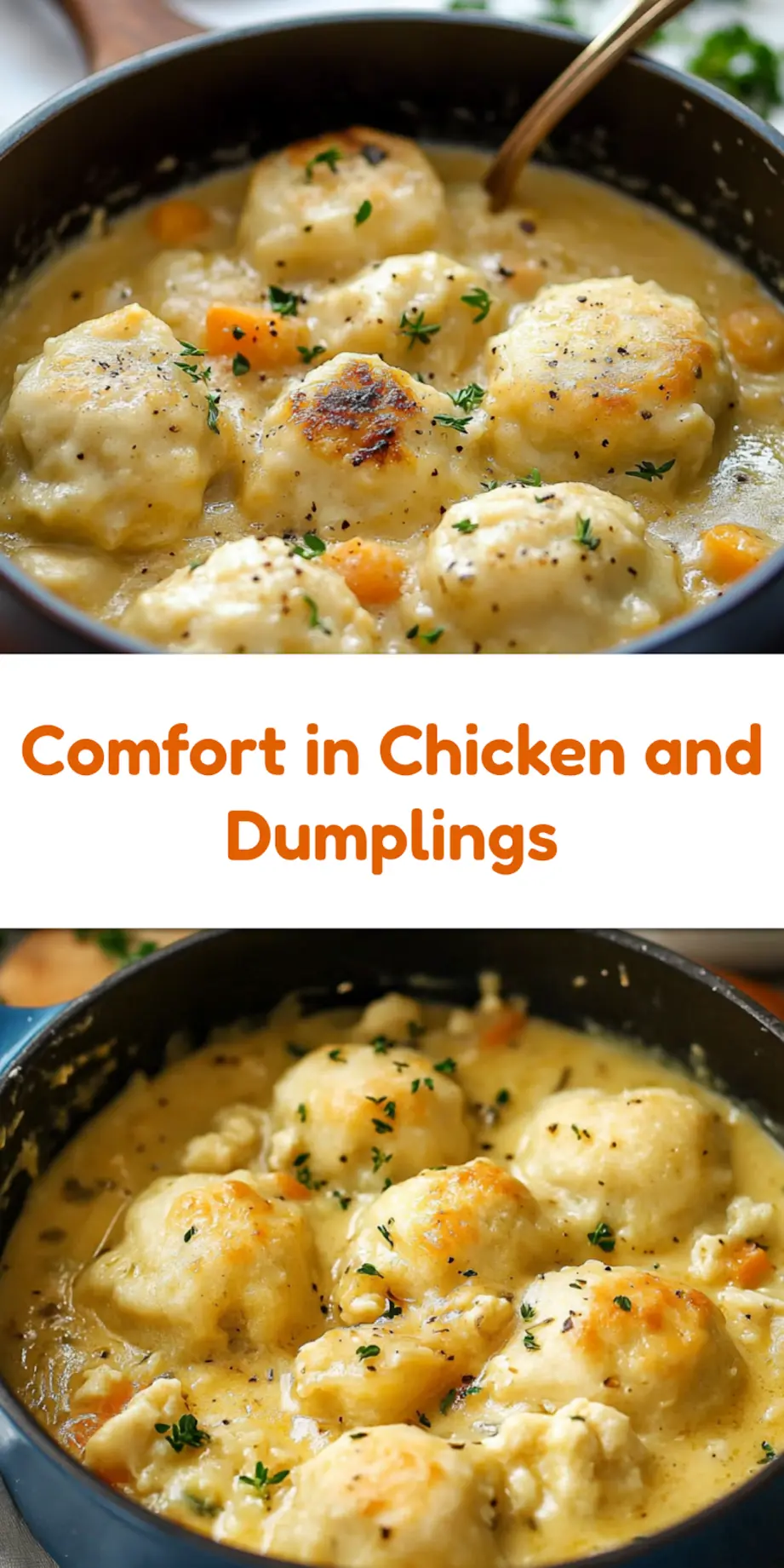 CHICKEN AND DUMPLINGS centered hero view, clean and uncluttered_pin