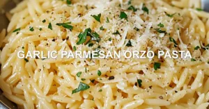 Easy Garlic Parmesan Orzo Pasta Recipe You Must Try GARLIC PARMESAN ORZO PASTA centered hero view, clean and uncluttered