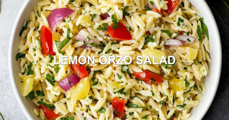 LEMON ORZO SALAD centered hero view, clean and uncluttered