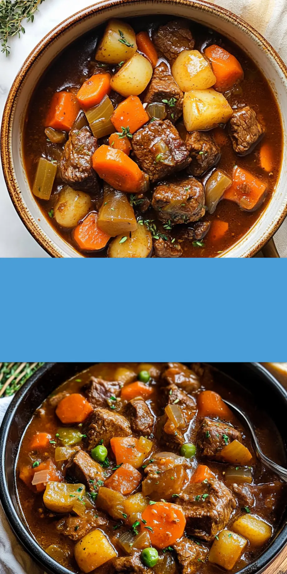OLD FASHIONED BEEF STEW centered hero view, clean and uncluttered_pin