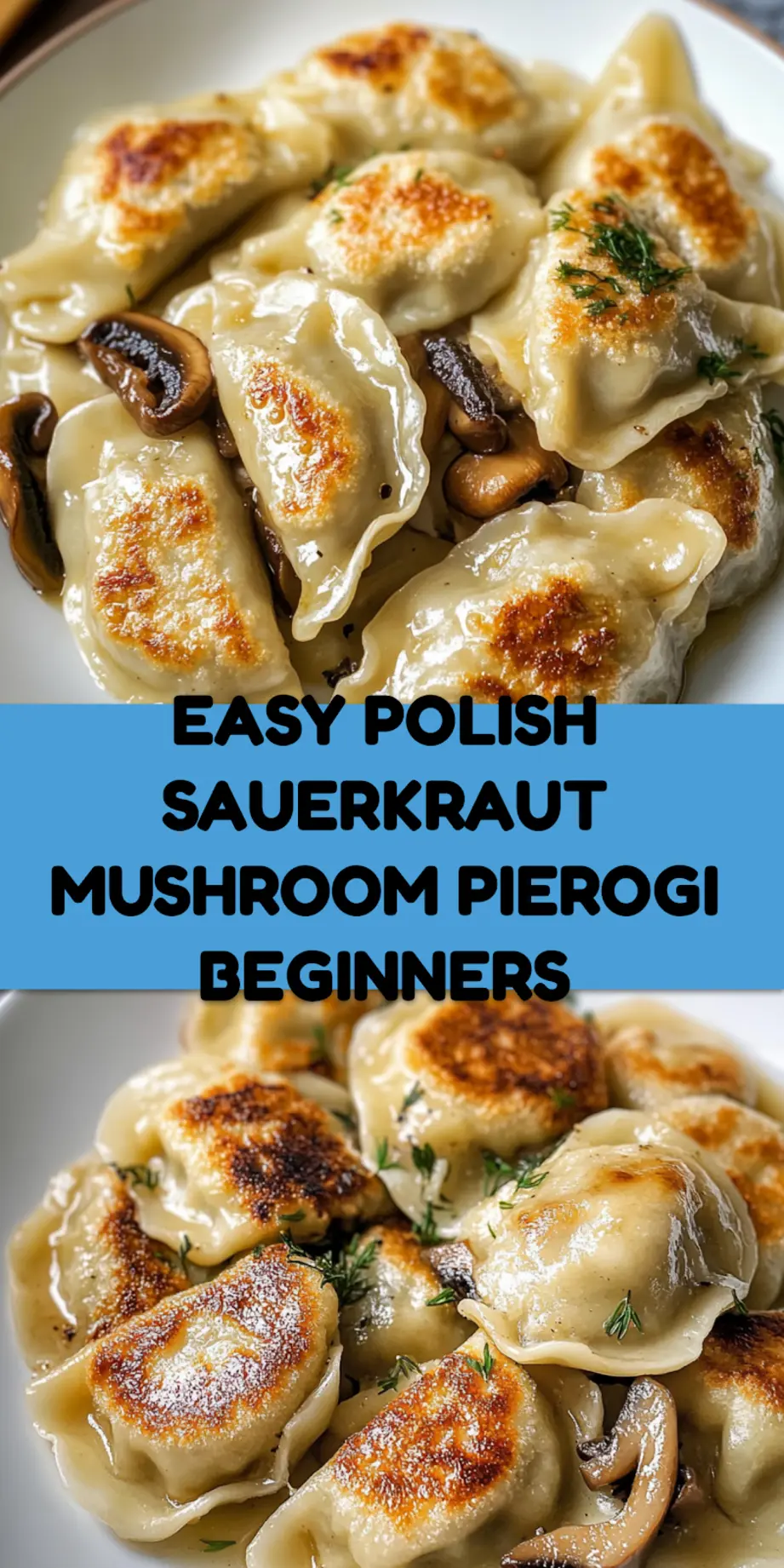 Polish Sauerkraut and Mushroom Pierogi centered hero view, clean and uncluttered