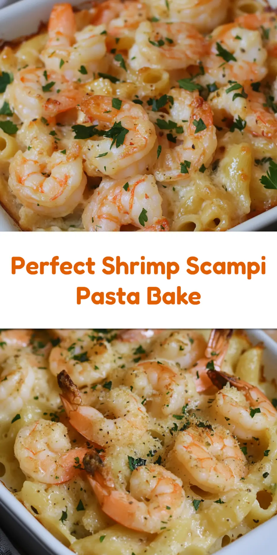 SHRIMP SCAMPI PASTA BAKE centered hero view, clean and uncluttered_pin