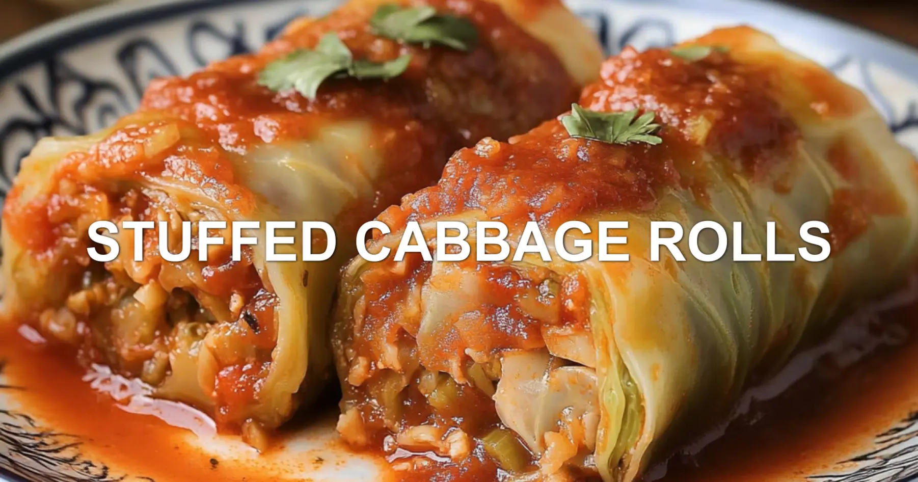 STUFFED CABBAGE ROLLS centered hero view, clean and uncluttered