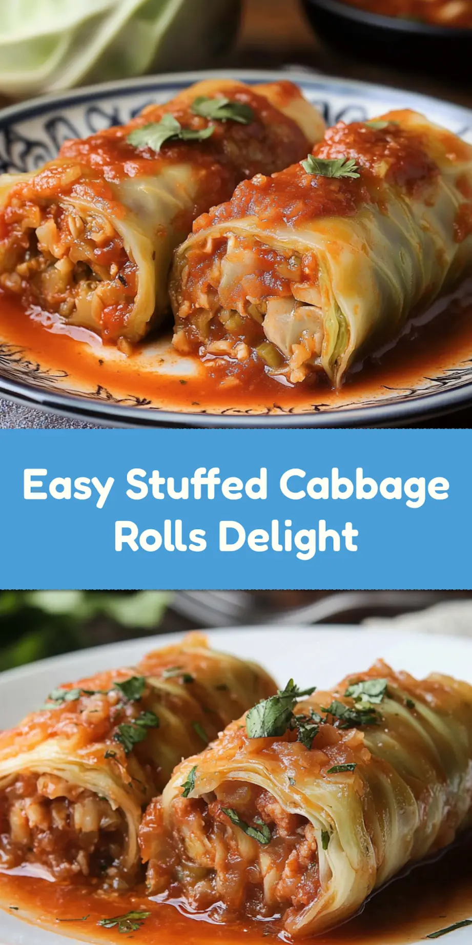 STUFFED CABBAGE ROLLS centered hero view, clean and uncluttered_pin