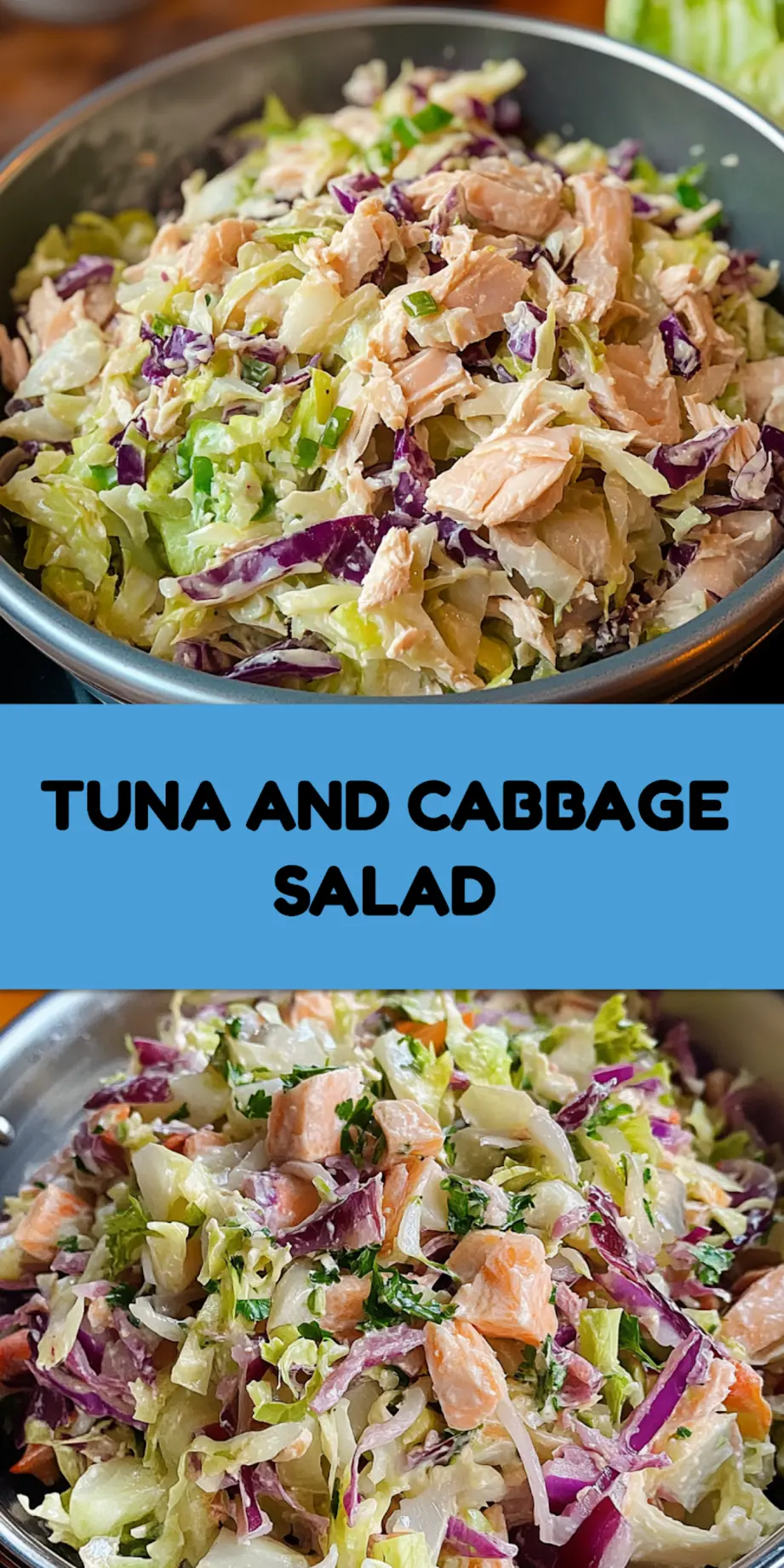 TUNA AND CABBAGE SALAD centered hero view, clean and uncluttered