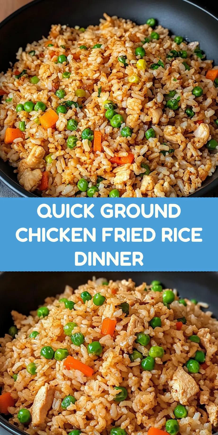 GROUND CHICKEN FRIED RICE centered hero view, clean and uncluttered