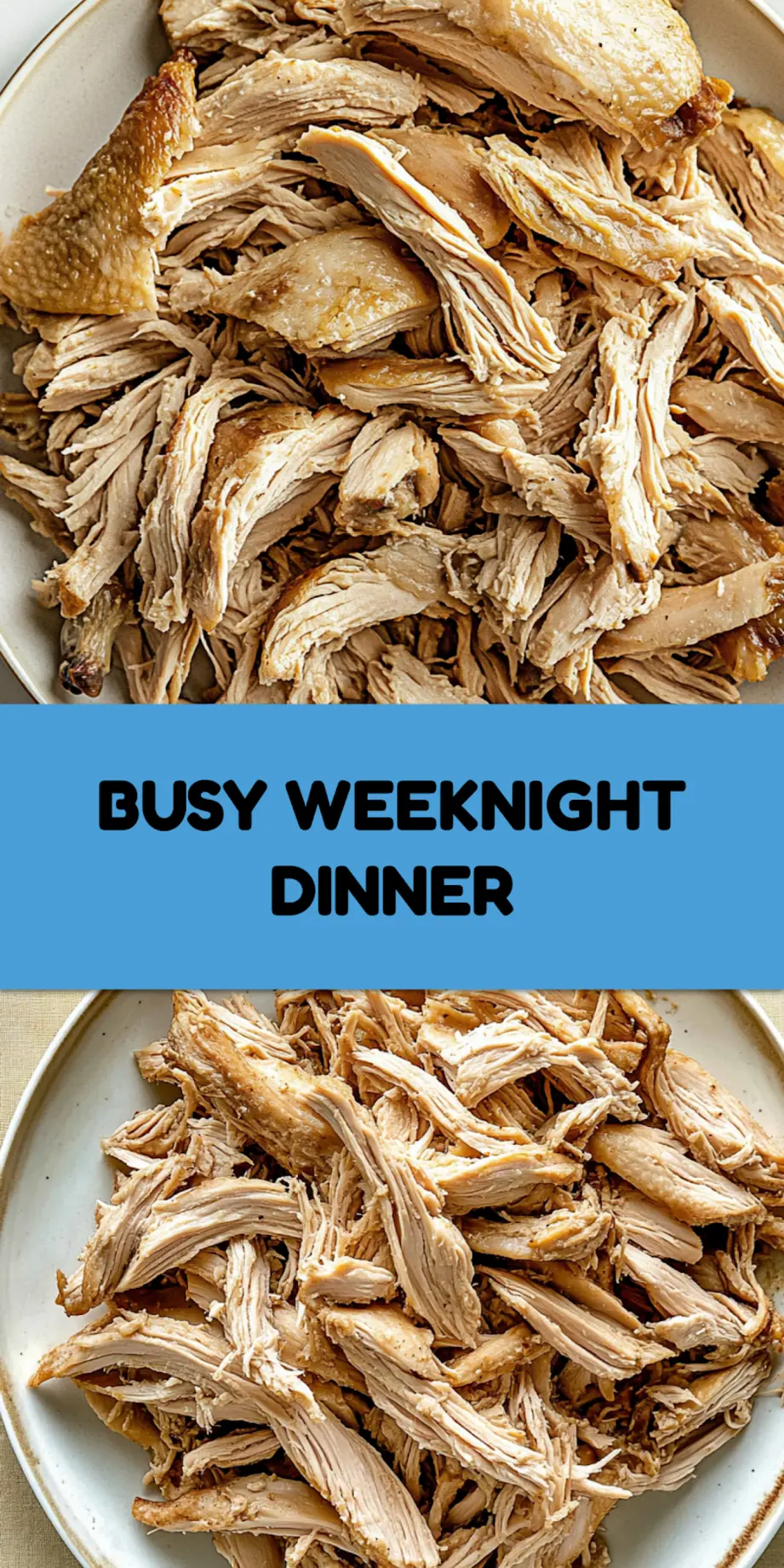 SLOW COOKER SHREDDED CHICKEN centered hero view, clean and uncluttered_pin