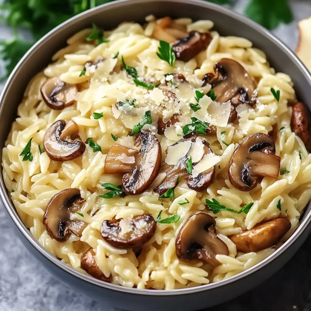Tasty Orzo with Mushrooms Recipe Easy and Delicious 3 Tasty orzo with mushrooms in a creamy sauce, centered hero view