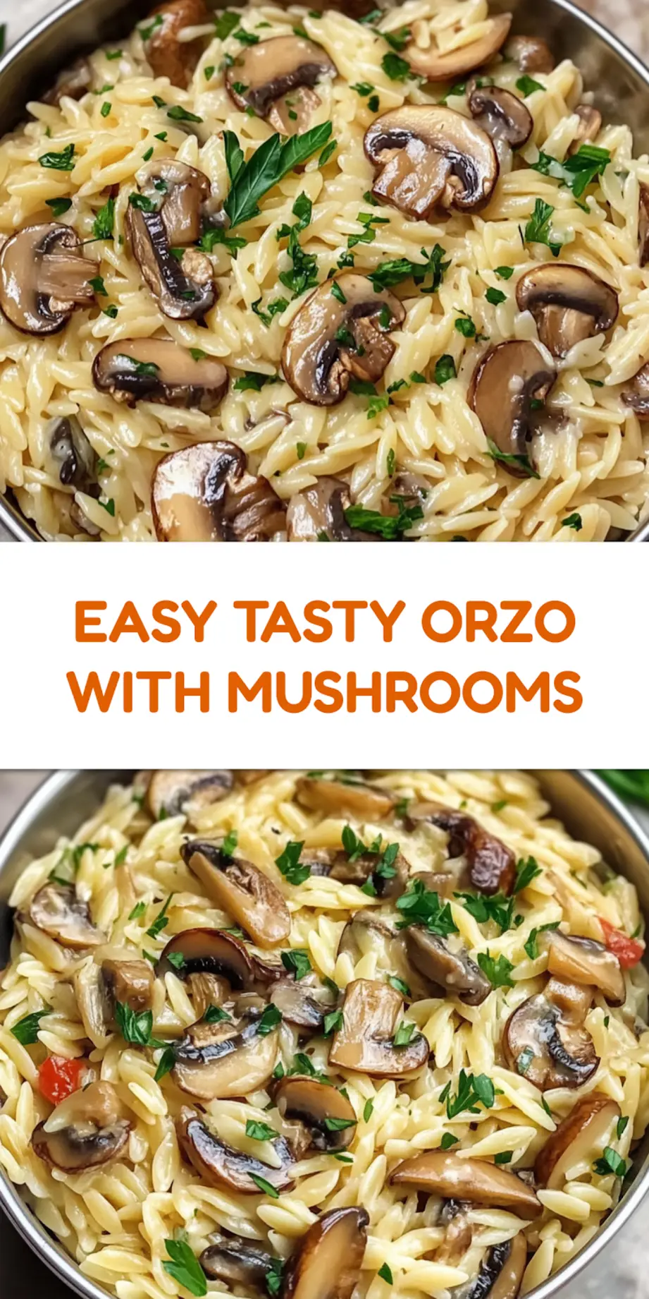 Tasty Orzo with Mushrooms Recipe Easy and Delicious 4 Tasty orzo with mushrooms in creamy sauce, centered view for pinning