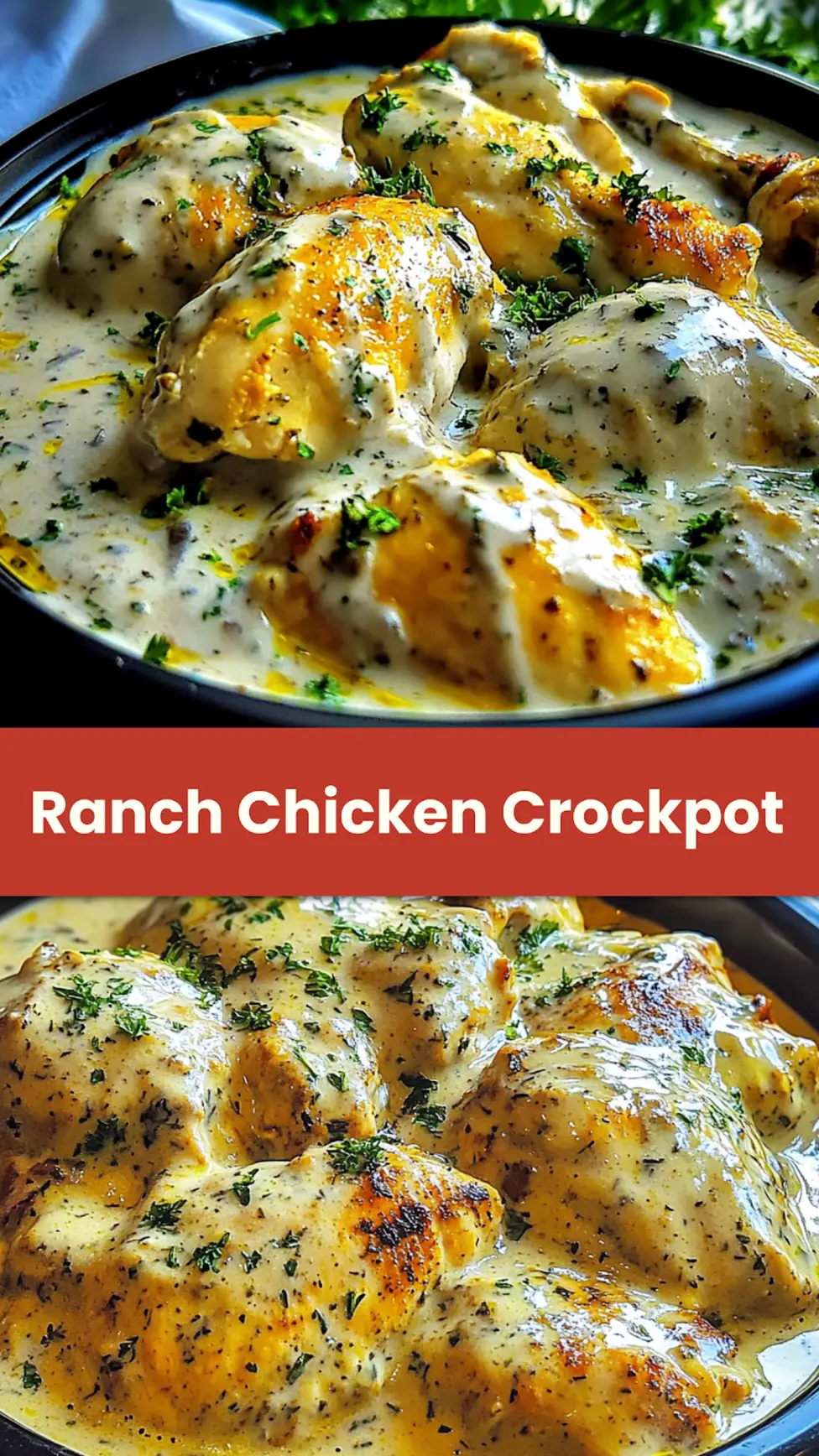 CREAMY RANCH CHICKEN CROCKPOT centered hero view, clean and uncluttered