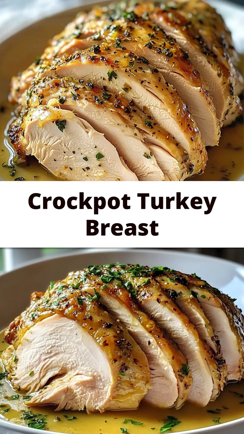 JUICY CROCKPOT TURKEY BREAST centered hero view, clean and uncluttered
