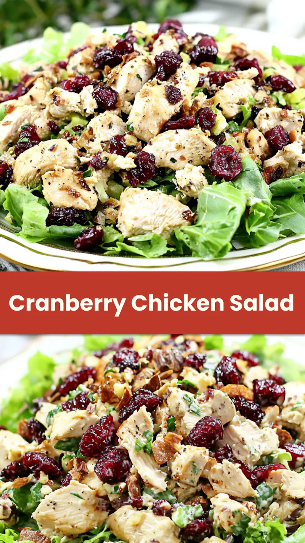 Keto Cranberry Chicken Salad centered hero view, clean and uncluttered pin
